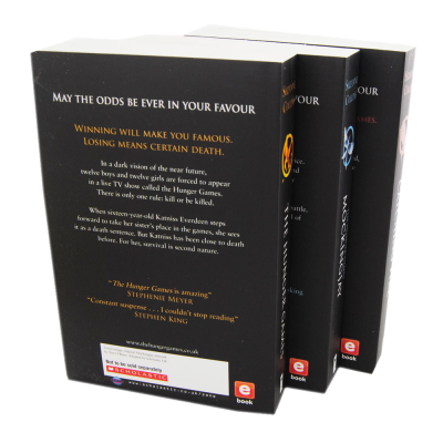 Diary of a Wimpy Kid The Third Wheel (Book 7)