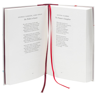 Funny Animals Series: Arnop Train Story